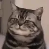 usergybivzlxn4