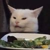smudgezeecat_