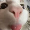 heyitsviolaaa