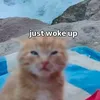 dandelionwineplease