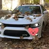 user458g4orovy