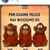 nulladafare2