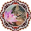 chihiro.02240826