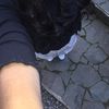 rinast_00