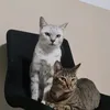 usersaysgoaway