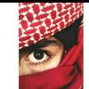 775amer_2