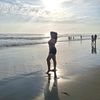 vicci_2410
