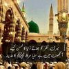 maryamfarooq8015