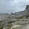 nellimo