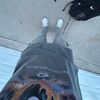 shiiuknowwhoitis23