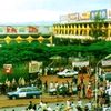 nafeesajtwon3