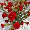 asiya410477