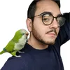 rocky_quaker