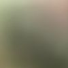 fatmah_2025