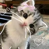 princessashlei201318