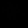 saleh_13559