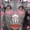 tey_1311