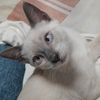 maeluv84