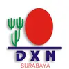 dxnsby