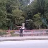 viledbp1993