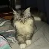 pegalgwapo02