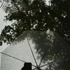 thuydung_617