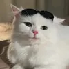 xaryd.tiktok