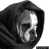jack.roze.music