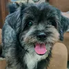 phoebe04022019