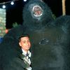 mohamedawad1166