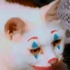 flayppi