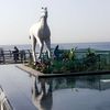 wafaa_babgi