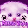 ahmedessam2730