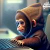 chimpandolfo1