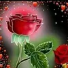 user47829140