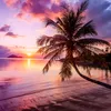 tropical112911