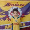 elver__galargaa
