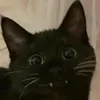 melissaturn_