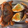 Vựa Cua Cà Mau 69 🦀