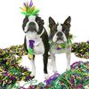thebossydogs