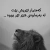 bragawra69