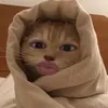 kwiajxbxiuw