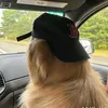 nico_nic654