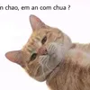 lua.hoag
