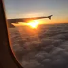 thanhgiddy