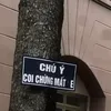 chiyeuminhem_ph