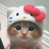 chyntiaputrii_