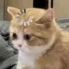 bunrealkualll