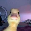 kkkkkkkkk_1432777