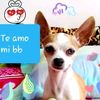 banbina27